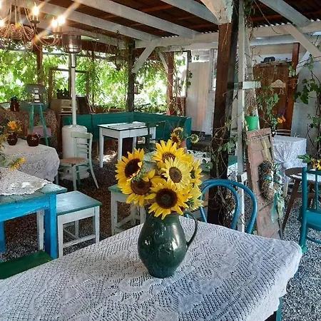 Гостевой дом Piac Vendeghaz